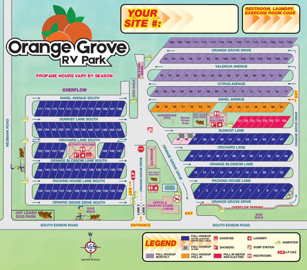 Escape to the Sunshine: Your Guide to Florida's Orange Grove Campground