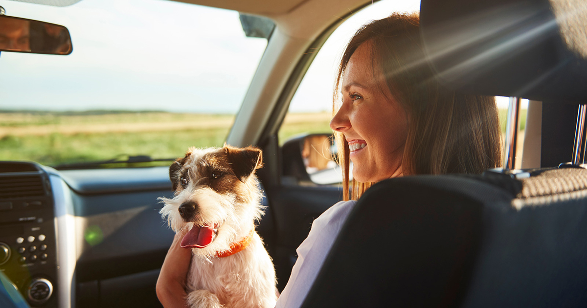 Pet-Friendly RV Travel: Tips for Traveling with Pets