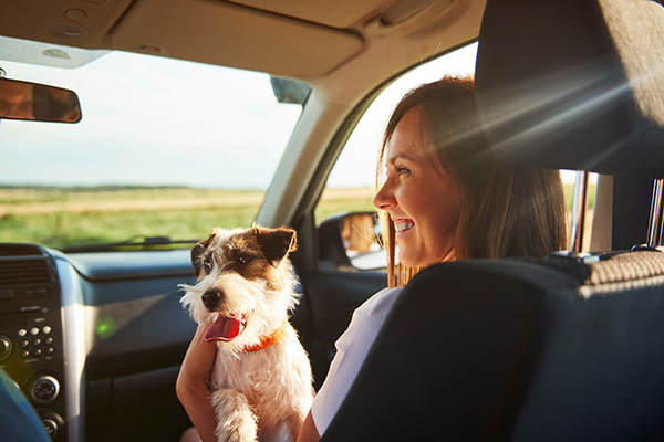 traveling with pets