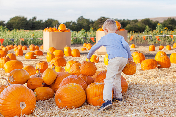 seasonal events in Bakersfield, CA